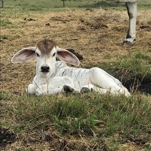 Meet your Posher, Christie